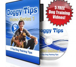 dog obedience training videos dog obedience training videos