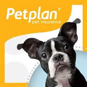 Best Pet Health Insurance Review 