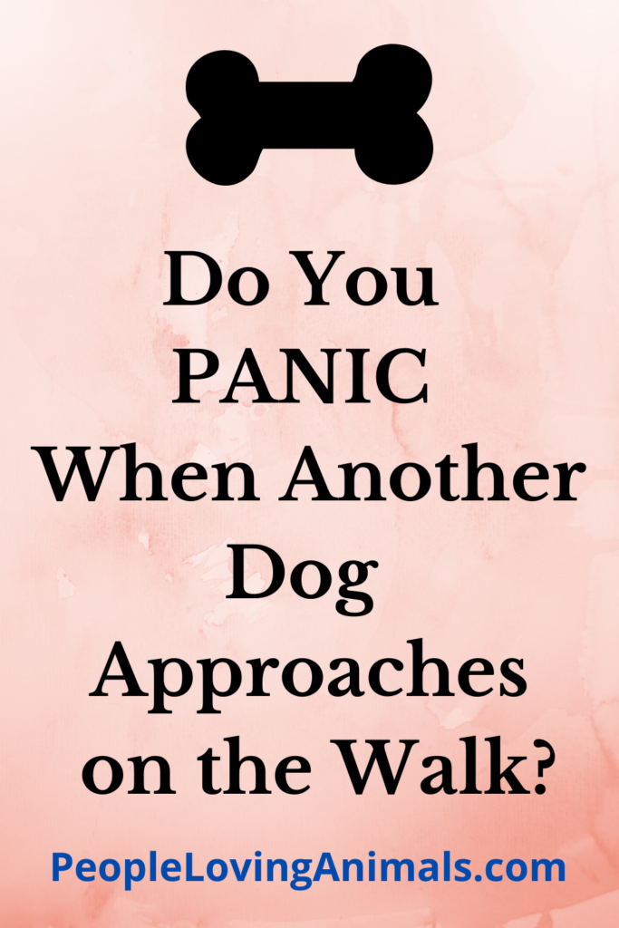 How to Train a Dominant Dog YOU Be the Pack Leader!