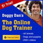 The Online Dog Trainer Review - Our #1 Recommendation