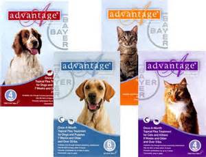 Advantage Flea and Tick Prevention for Dogs