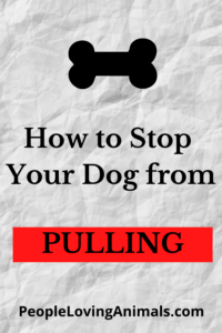 stop leash pulling