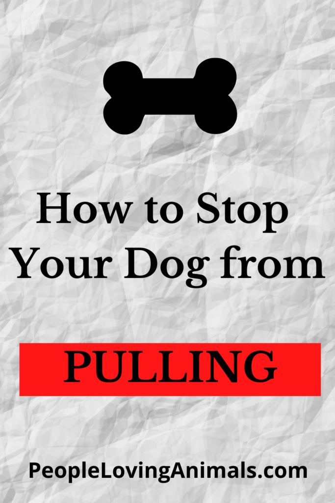 How To Stop Your Dog From Pulling - Super Effective Solution