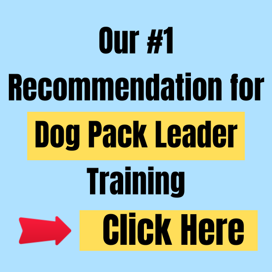 Be Pack Leader to Your Dog Most Effective Dog Training!