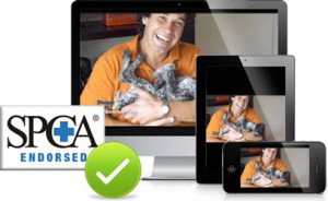 Doggy Dan The Online Dog Trainer Reviews 