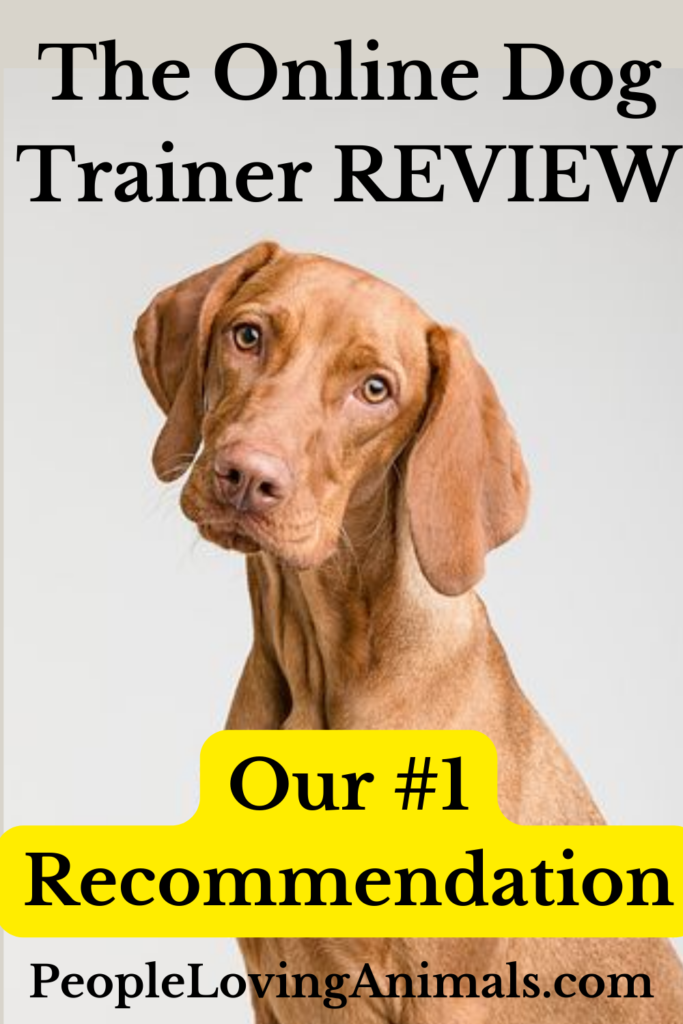 The Online Dog Trainer Review - Our #1 Recommendation