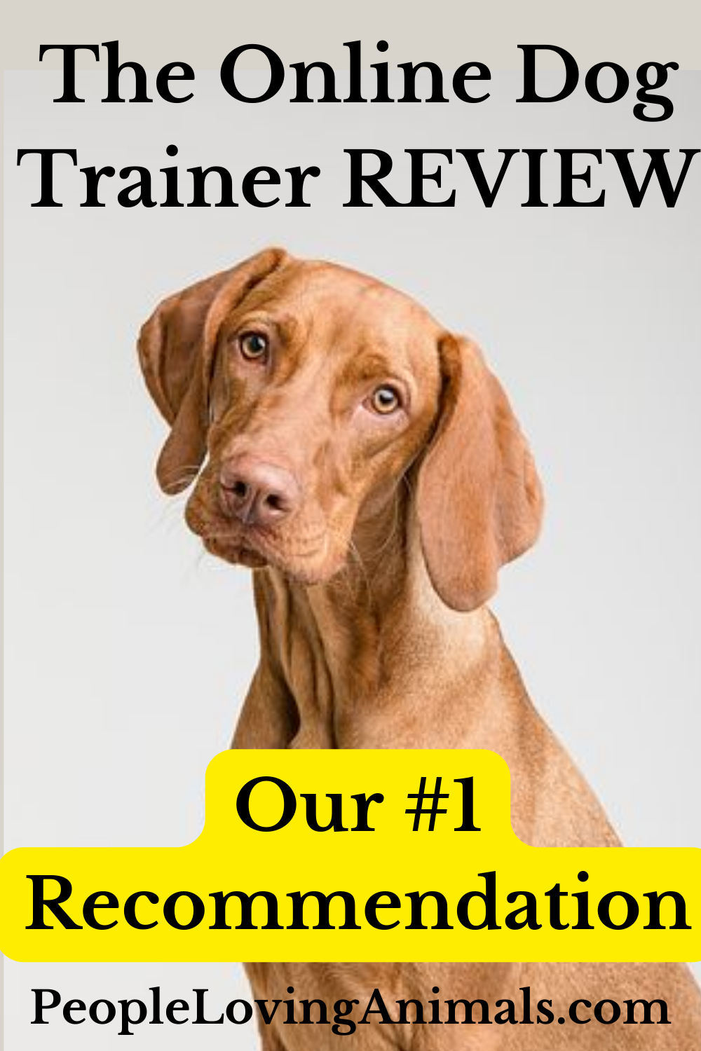 The Online Dog Trainer Review Our 1