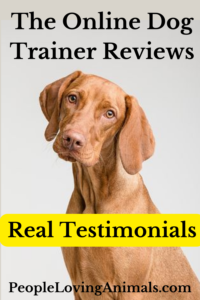 doggy dan the online dog trainer testimonials
