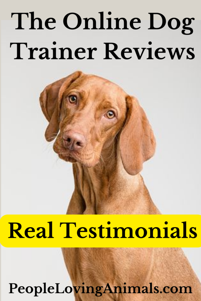 Doggy Dan the Online Dog Trainer Reviews Real Testimonials