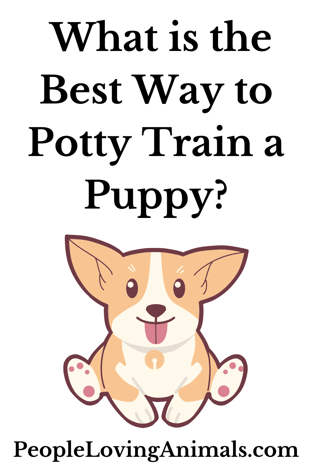 What is the Best Way to Poppy Train a Puppy? FAST and EASY