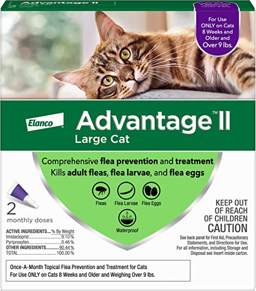 Best Flea Medicine for Dogs and Cats Works Every Time!
