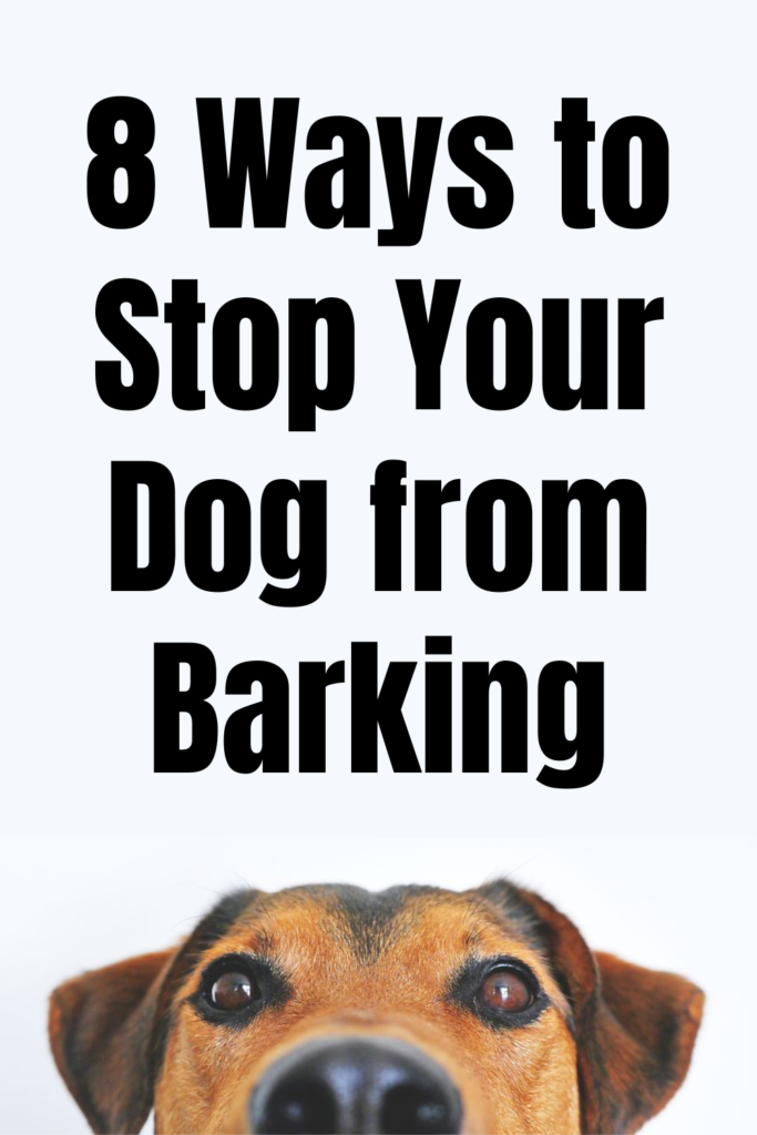 How to Stop Your Dog from Barking Calm Dogs Don't Bark!