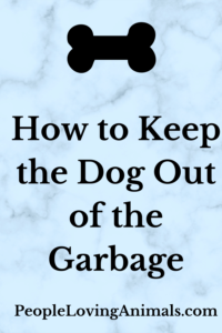 how to keep the dog out of the garbage