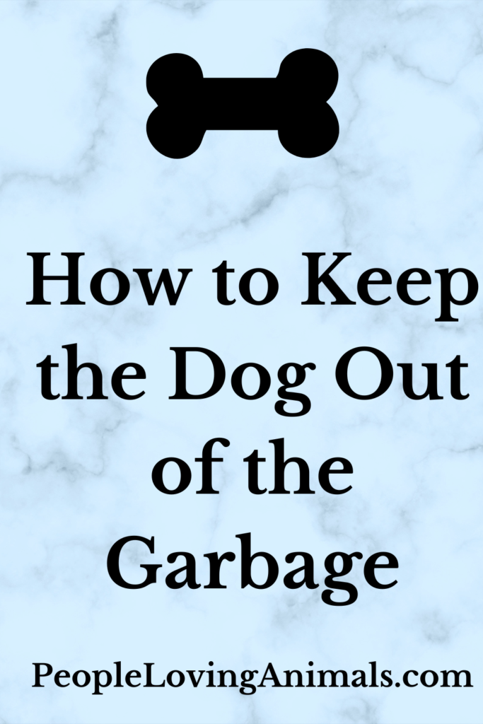 How to Keep the Dog Out of the Garbage For Their Safety!