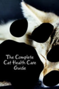 cat health care guide