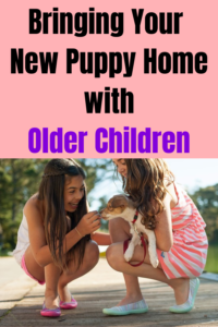 bringing your new puppy home with older children