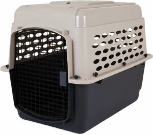 dog travel crate