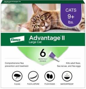 flea medication for cats