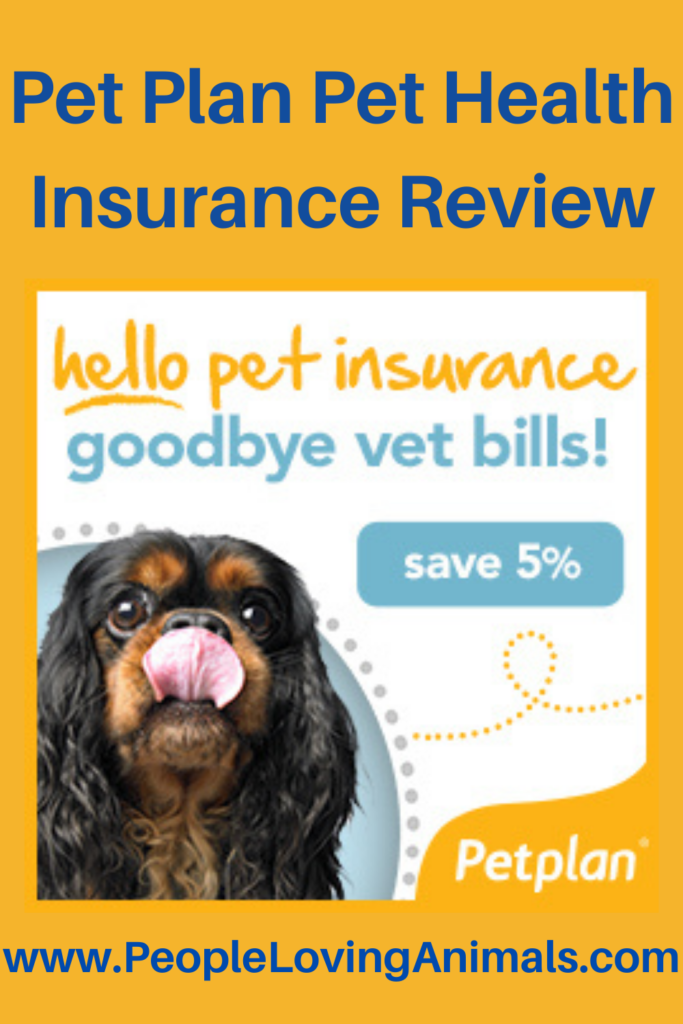 PetPlan Pet Insurance Review World's Largest Provider