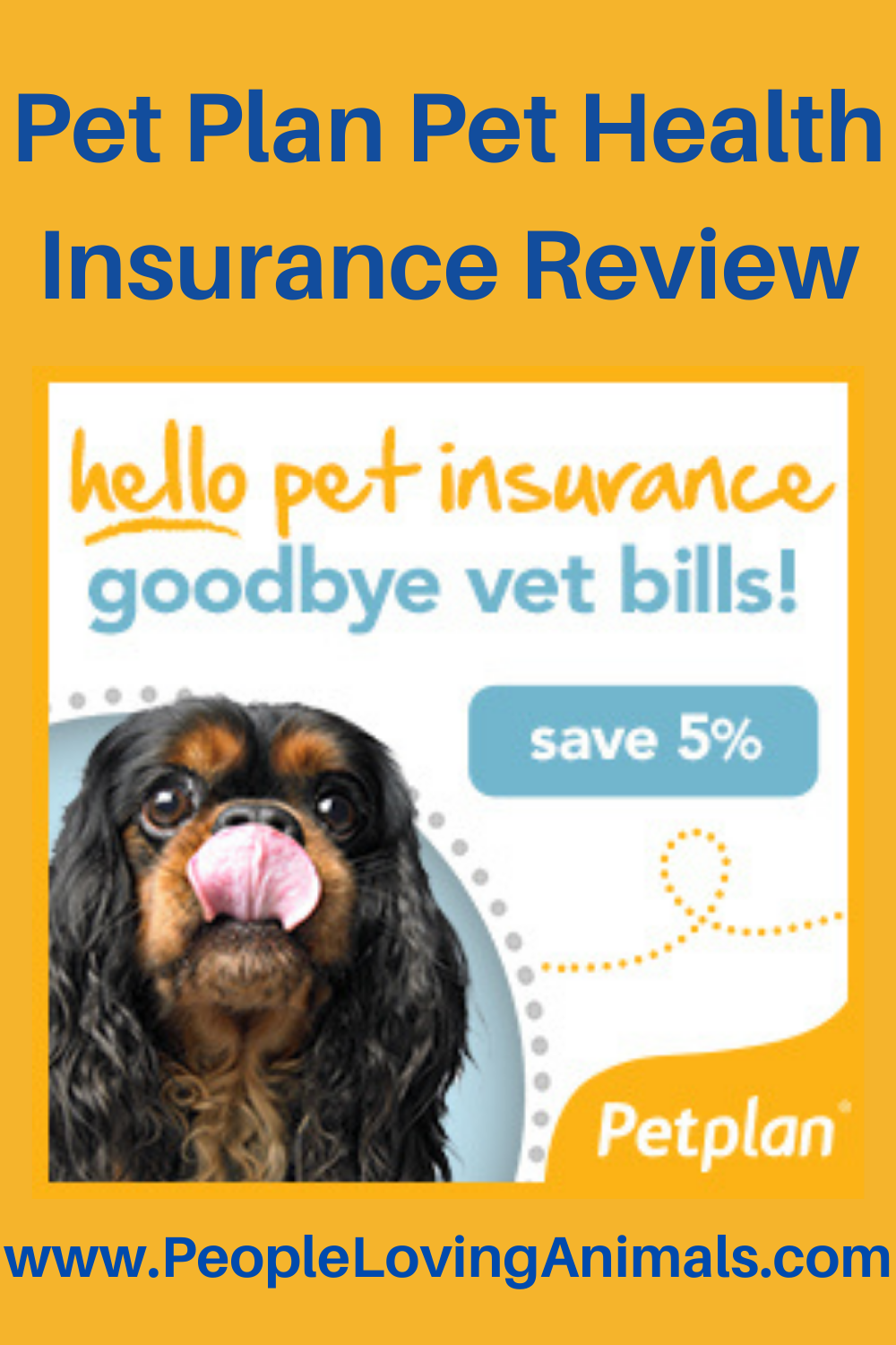 Petplan Pet Insurance Review - World's Largest Provider