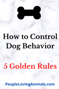 how to control dog behavior