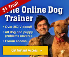 the online dog trainer