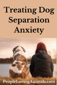 treating dog separation anxiety
