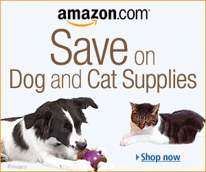 Where to Buy Pet Supplies Online