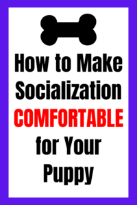 how to make puppy socialization comfortable for your puppy