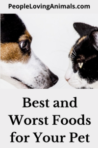 best food for your pet