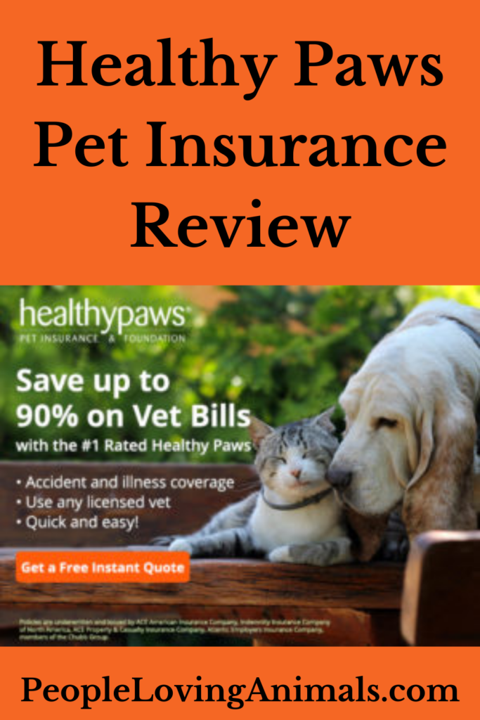 Healthy Paws Insurance Review - Awesome Customer Service!