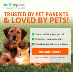 healthy paws insurance review