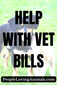 help with vet bills