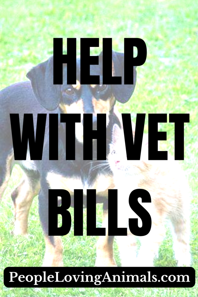 Help with Vet Bills Ways to Pay for What Your Pet Needs