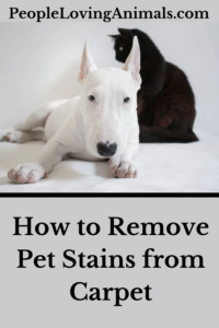 remove pet stains from carpet