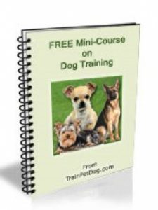 free dog training