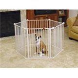 should dogs be crate trained