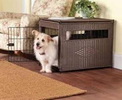 should dogs be crate trained