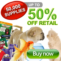 Best Value on Pet Supplies