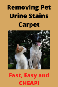 removing pet urine stains