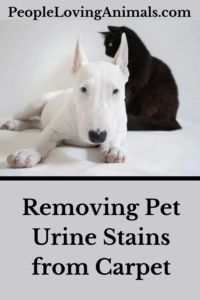 removing pet urine stains from carpet