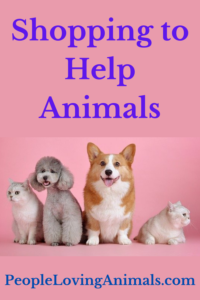 animal charities