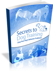 what is secrets to dog training