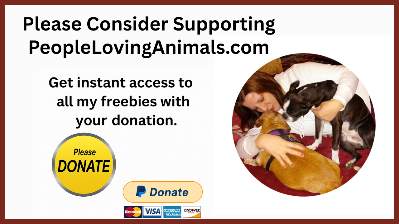 PeopleLovingAnimals.com