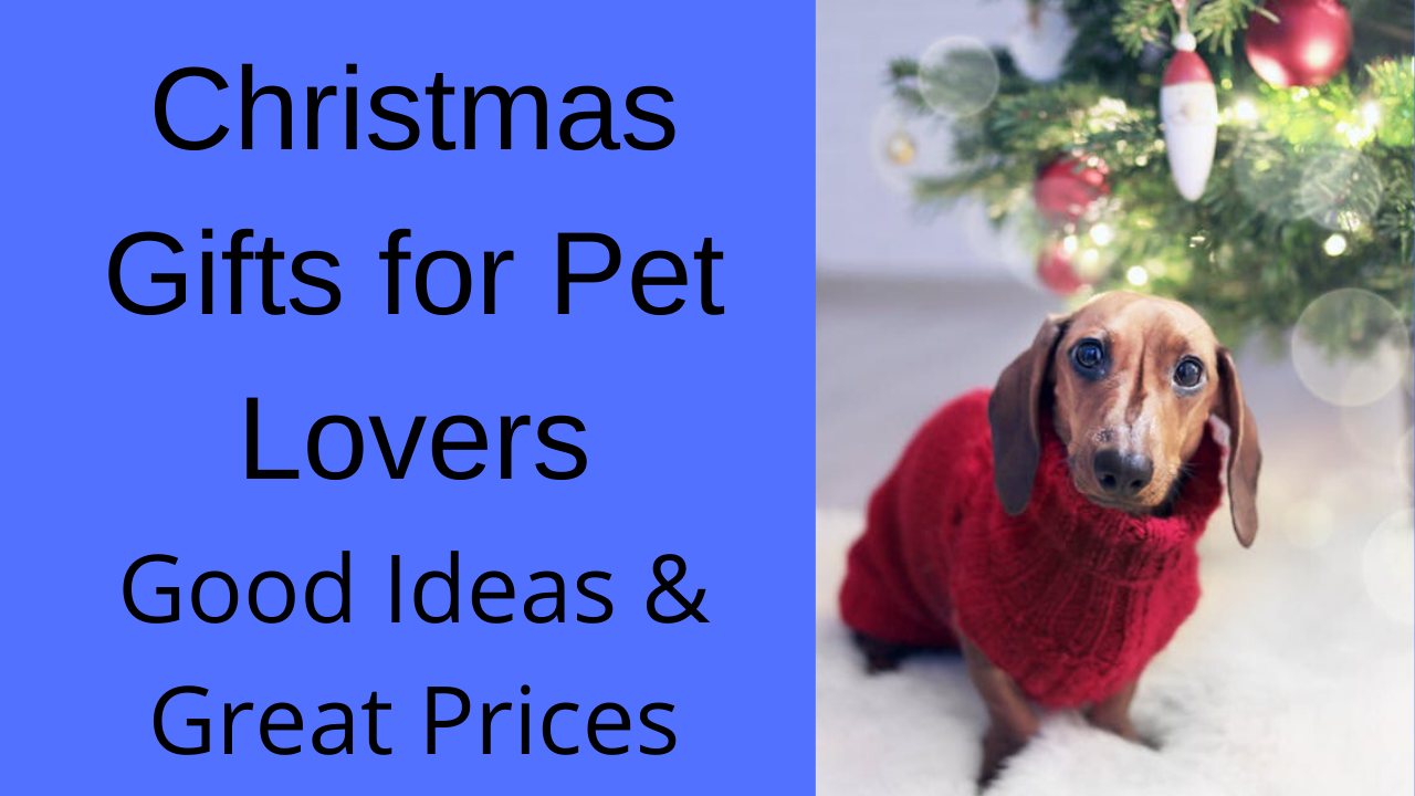 Christmas Gifts for Pet Lovers People Loving Animals