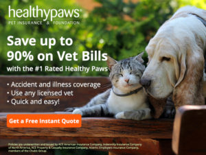 Healthy Paws Pet Insurance Review