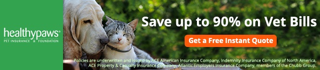 Healthy Paws Pet Insurance Review