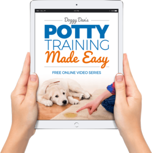 What is the Best Way to Potty Train a Puppy Fast? 