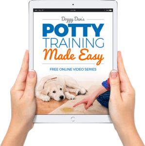 puppy potty training schedule