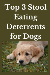 stool eating deterrents